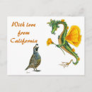 Recherche de pavot de californie cartes postales État