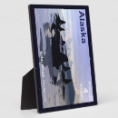 Recherche de baleine plaques Océan