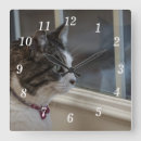 Recherche de female horloges Pour tous