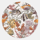 Recherche de étoile nautique autocollants Corail