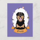 Recherche de chien heureux cartes postales Amoureux des animaux