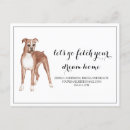 Recherche de chien boxeur cartes postales Chiot