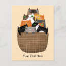 Zoek naar kittens uitnodigingen Kat