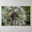 Recherche de macro art De près