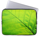 Recherche de planètes coques Vert