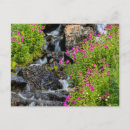Recherche de chucks cartes postales Montana