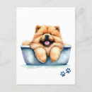 Zoek naar chow chow puppy briefkaarten Hond