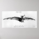 Zoek naar avion posters Luchtvaart