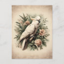 Recherche de amants cartes postales Antique
