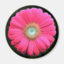 Recherche de graphique circulaire magnets Jaune