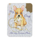 Recherche de french bulldog magnete Frenchie