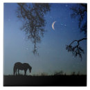 Recherche de beau cheval carreaux Pays