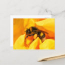 Zoek naar hommel briefkaarten Insecten