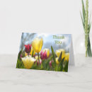 Recherche de roses jaunes vœux cartes Fleurs de jardin