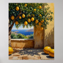 Zoek naar mediterraan zee posters Natuur