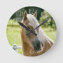 Recherche de crinière horloges Poney