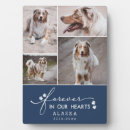 Recherche de animaux plaques Empreintes de pattes