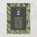 Recherche de forêts tropicales cartes postales Pour eux