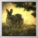 Recherche de lapin sauvage art Animal