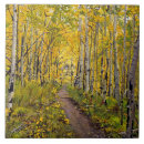 Zoek naar sporen tegels Herfst