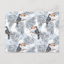 Recherche de forêt tropicale tropicale cartes postales Palmier
