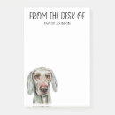 Recherche de weimaraners Mignon