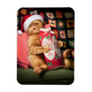 Recherche de noël de chat magnets Humour