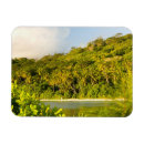 Recherche de polynesie magnets Tropical