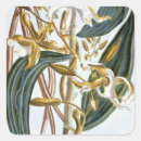Zoek naar 65 stickers Botanisch