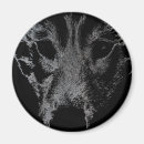 Recherche de chien loup magnets Coquin