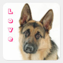 Recherche de adoration autocollants Chien