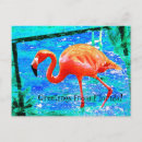 Recherche de flamand rose cartes postales Floride