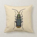 Recherche de scarabée de scarabée décoration coussins Nature