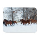 Recherche de courant magnets Neige