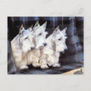 Recherche de scottish terrier cartes postales Vintage