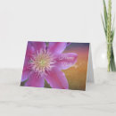 Recherche de rose de joyeux noël Floral