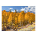 Zoek naar asfalt posters Najaar