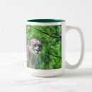 Recherche de cougar tasses Lion de montagne