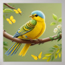 Recherche de plumes jaunes posters Faune