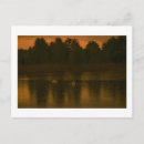 Recherche de lac de cygne cartes postales Coucher de soleil