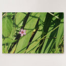 Recherche de minuscule puzzles Nature