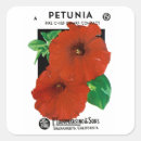 Recherche de pétunia autocollants Jardin