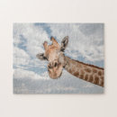Zoek naar giraffe puzzels Foto