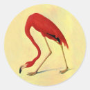 Recherche de peinture américaine autocollants Oiseau
