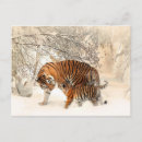 Recherche de tiger cartes postales Bébé