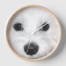 Recherche de maltais horloges Blanc