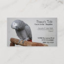 Recherche de perroquets cartes visite Perroquet gris