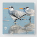 Recherche de royales horloges Oiseau