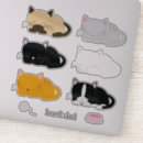 Recherche de fentes autocollants Chats