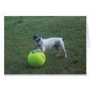 Zoek naar witte rat briefkaarten Grappig